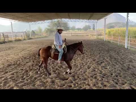 C13P7 THE ROAD TO FUTURITY VIP