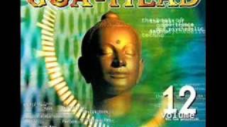Goa Head  vol.12 RA-Initiated