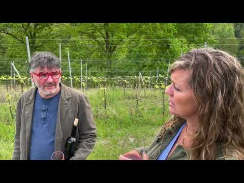 Iuli Natalin presentation