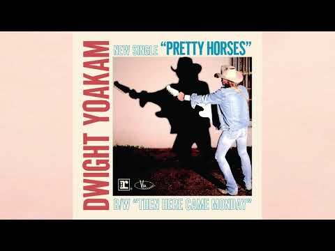Pretty Horses video