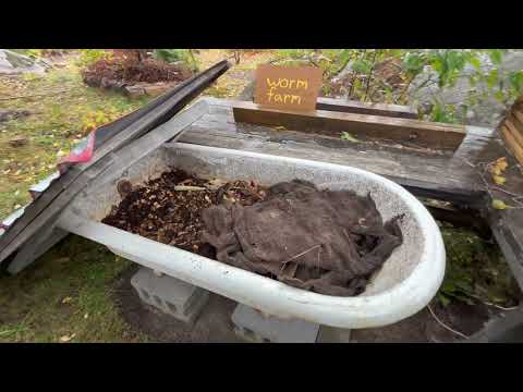 Overwintering the Worm Farm in the Aeroponics Room