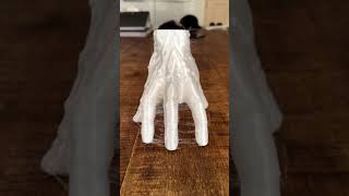 My Daughter asked if I can print the thing