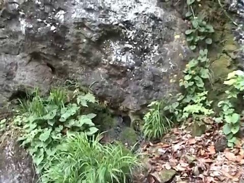 Sasca Montană-Cascada Suşara-Cheile Nerei