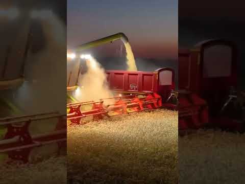 Two Claas 7500 Lexion combine harvester working at night harvesting wheat at Thoresby Farming.