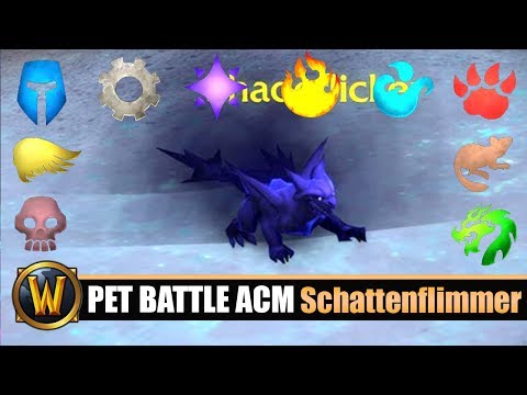 [WOW] alle Argus Pet Battle Erfolge: Schattenflimmer