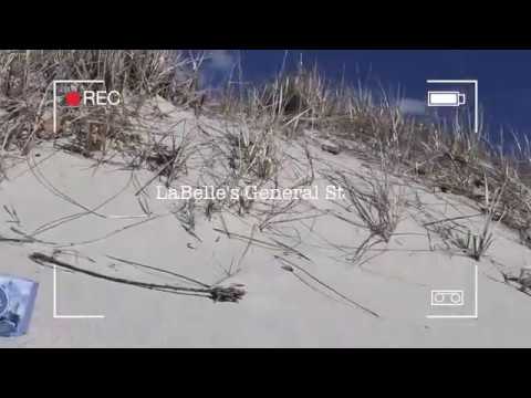 Cape Shore Soap from Yarmouth, ME | Cape Cod's Favorite Scented Soap is at LaBelle's General Store