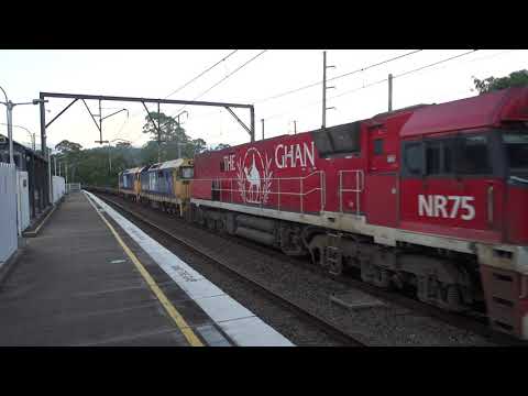 NR75 (The Ghan) / 8169 / 8106 with PN 1431 - 11/1/21