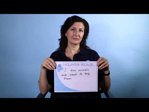 If you're for pets, we're for you. Volunteer with Blue Cross.