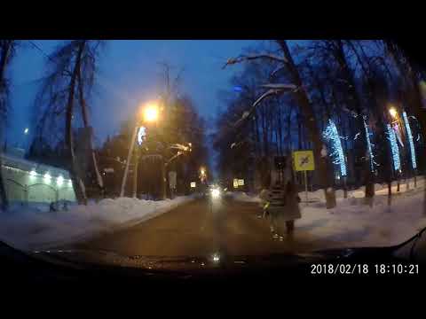 Нападение агрессивных пешеходов в поселке Архангельское