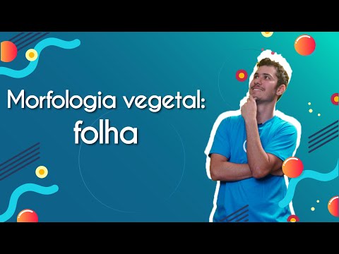 Plant morphology: leaf - Brasil Escola