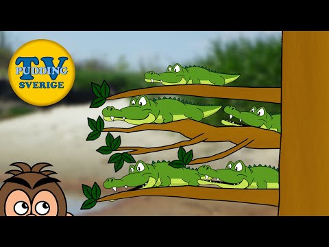 Fem krokodiler gungar i ett träd - Svenska barnsånger