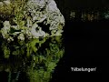 'Nibelungen' by Klaus Schulze