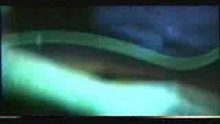 Rev Horton Heat 1988 The Devil&#39;s Chasing Me