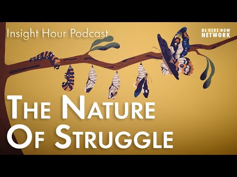 The Nature of Struggle with Joseph Goldstein - Insight Hour Ep. 137