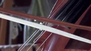 IAN MAKSIN, Pillow Talk