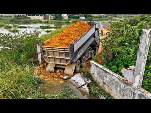 Perfect first Start New Project! Using Bulldozer With Heavy Dump Trucks