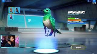 hummingbird hate is so forced (Bird Game 3 Gameplay)