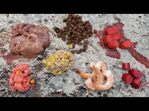 Best Catfish Baits from Grocery Store - Fishing for Catfish & Carp in Texas