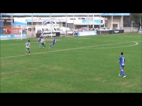 Pedro Brito Gols pelo Avenida RS .
