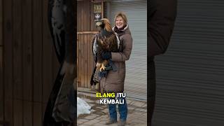 Download lagu Elang raksasa yang pernah jinak 🔥 mp3 Download lagu Elang raksasa yang pernah jinak 🔥 mp3