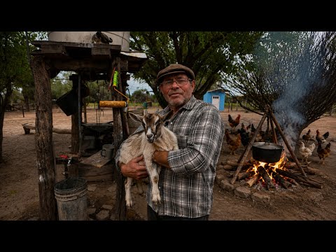 Así es VIVIR en el MEDIO del MONTE RODEADO de PUMAS