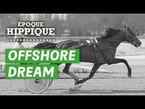 L'histoire d'Offshore Dream : le chef-d'oeuvre d'une vie | Époque Hippique | PMU