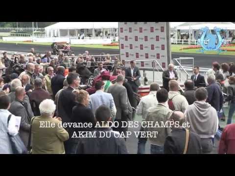 RETOUR - Prix Albert Viel 2013 : AXELLE DARK