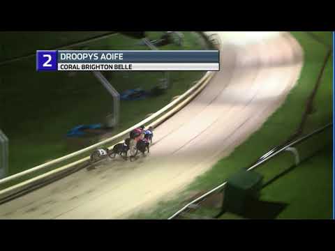 2020 CORAL BRIGHTON BELLE FINAL - T2 DROOPYS AOIFE