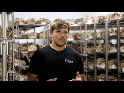 Funghi buoni dall'Alto Adige: Scopri Kirnig