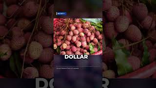 Myth: Cambodia Only Uses Dollars? Riel Fact Check