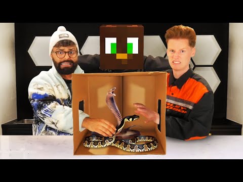 What's In The Box Challenge w/ the good boys