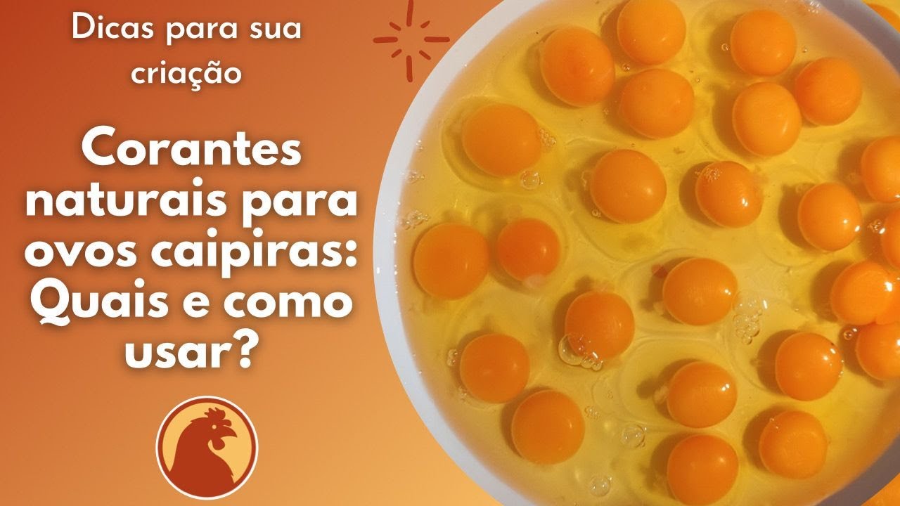 Corantes naturais para ovos caipiras: Quais e como usar?