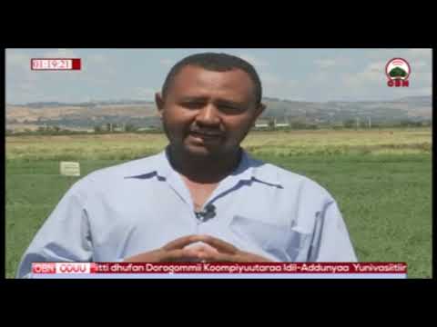 Gidduu gala Qorannoo qonnaa Bishooftuu 10 02 2011