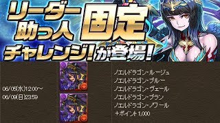 [리더 고정 챌린지 1] 티폰 리더 고정 pt.