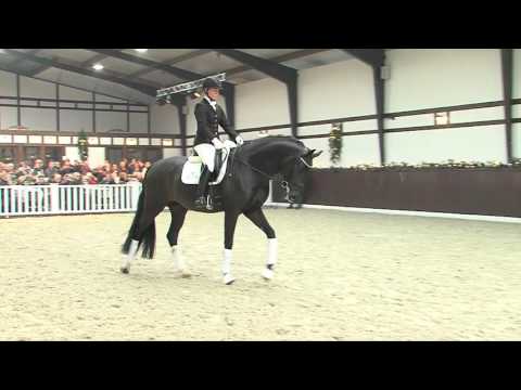 Dressurleistungszentrum Lodbergen For Romance 2016