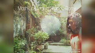 Just A Little Bit(Ariana Grande)+Sahiba(Romy-Phillauri) Mash Up