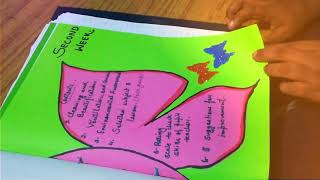 1 mnth observation file.... For b. Ed students with creativity