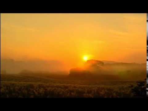 EXPEDITIONEN INS TIERREICH "Ende eines Sommers" - Dokumentations-Ausschnitt