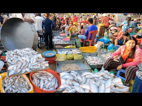 Cambodian Fish Market Tour - Early Morning Scenes of Vendors & Buyers @Chhbar Ampov Market