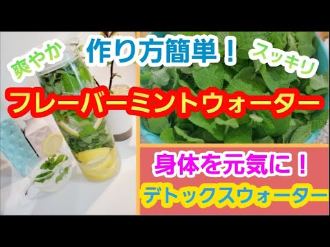フリーズミント: 香りを保ちます 植物