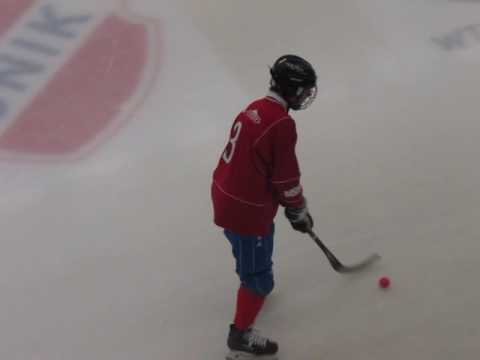 Uppsala BOIS F17/dam - UNIK P16/18