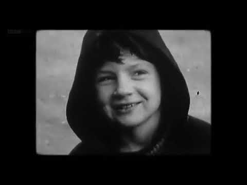 Bobby Sands 66 Days RTE