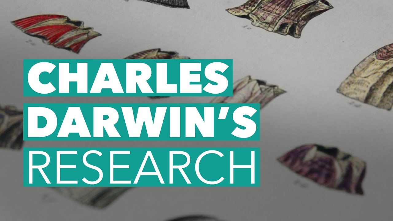 MPM Untold - Charles Darwin's Research