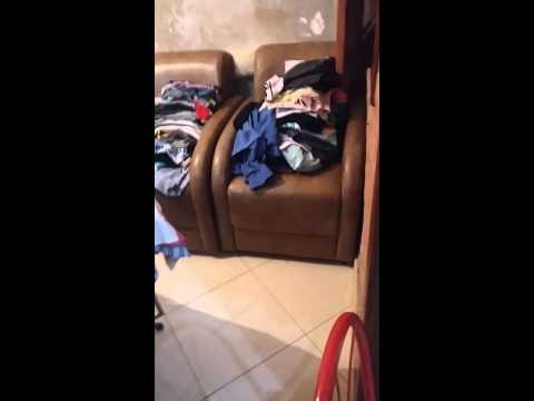 Brincando de esconde esconde com barata