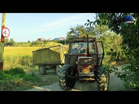 Tractoare ZETOR, INTERNATIONAL, FIAT AGRI & UTB Tractors Lucrand/Working - 09 September 2016