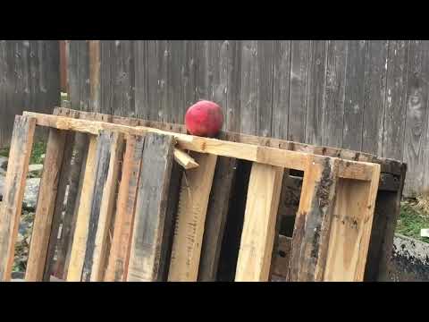 Can you SHOOT a MAGNET out of a PELLET GUN