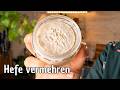 Hefe vermehren und einfrieren 😉 der unterschätzte Krisenvorsorge-Hack für die Küche #210