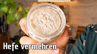 Hefe vermehren und einfrieren 😉 der unterschätzte Krisenvorsorge-Hack für die Küche #210