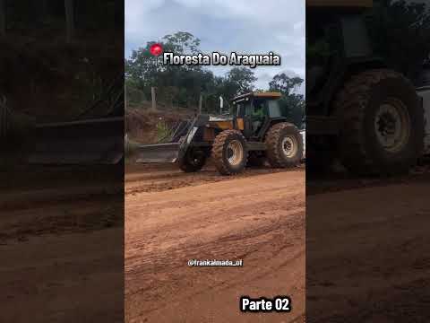 Começou a Safra do Abacaxi Floresta do Araguaia 2026 - Pura Bucha Pra Galera @frankalmada_of #Parte2