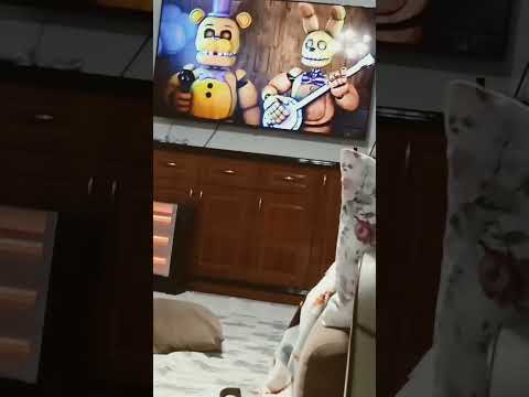 FFD stage Performance1 Hiddenin tür sand byTally Hall